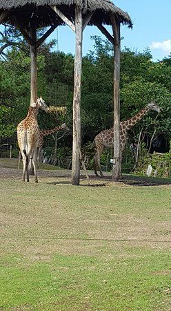 Zoo de Bordeaux Pessac